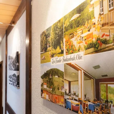 Guest house Gasthof Zur Traube Finkenbach