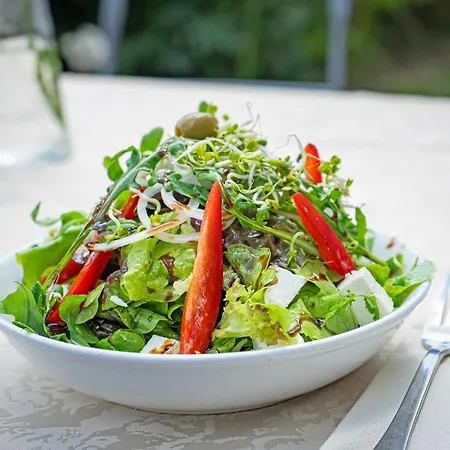 Zur Traube Πανσιόν Finkenbach