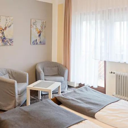 Zur Traube Gasthof Finkenbach