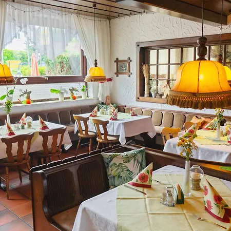 Zur Traube Πανσιόν 3*