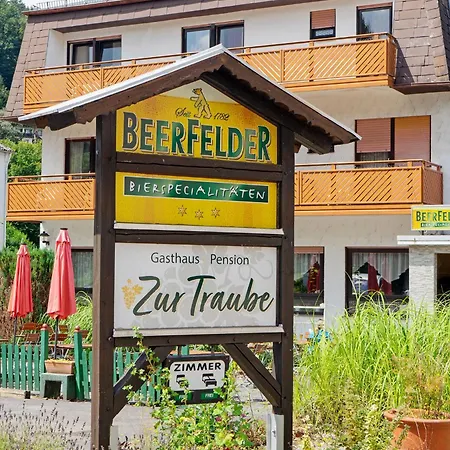 Πανσιόν Zur Traube 3*