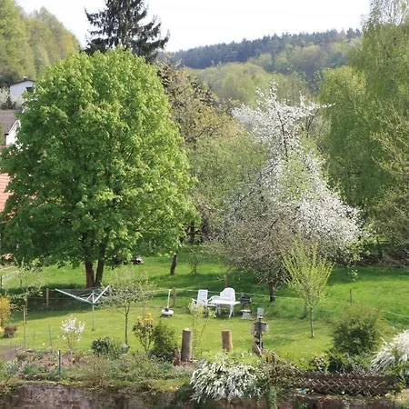 Zur Traube Πανσιόν