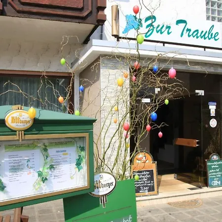 加斯特霍夫促特劳伯酒店 Finkenbach