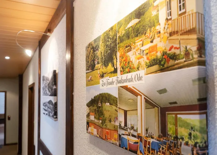 Guest house Gasthof Zur Traube Finkenbach