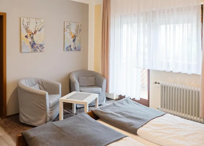 Gasthof Zur Traube Guest house Finkenbach