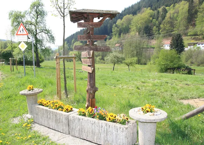 Gasthof Zur Traube Finkenbach