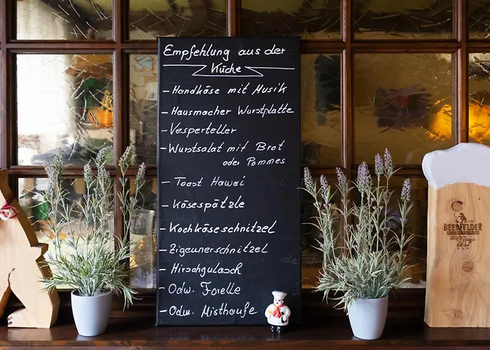 Gasthof Zur Traube 3* Finkenbach