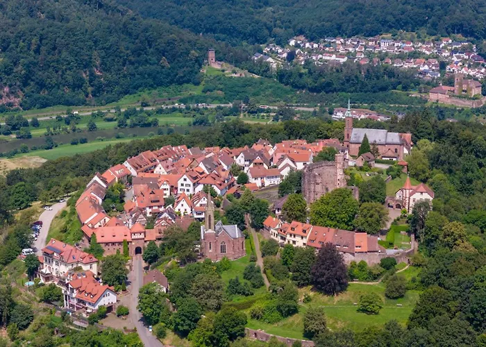 Guest house Gasthof Zur Traube Finkenbach