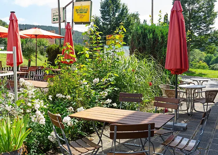 Gasthof Zur Traube Finkenbach