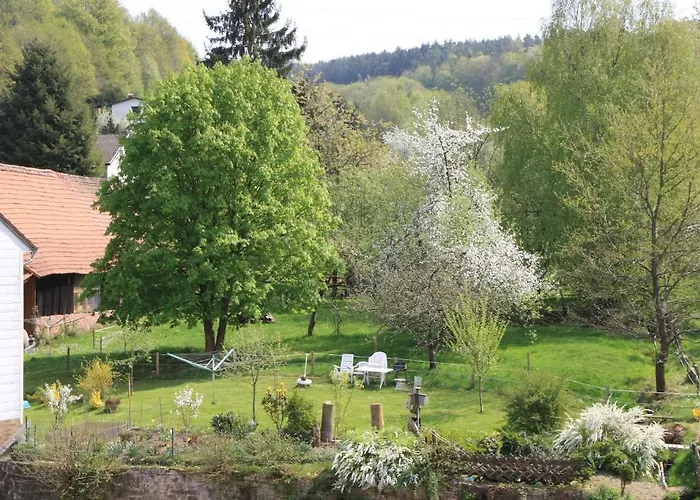 Gasthof Zur Traube Guest house